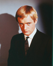 THE MAN FROM U.N.C.L.E. DAVID MCCALLUM PRINTS AND POSTERS 247451