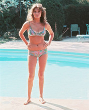 JACQUELINE BISSET PRINTS AND POSTERS 247248