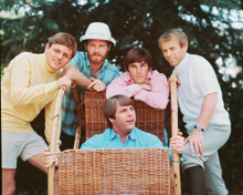 THE BEACH BOYS PRINTS AND POSTERS 247222