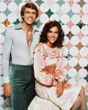 THE CARPENTERS PRINTS AND POSTERS 247161