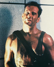 BRUCE WILLIS DIE HARD HUNKY PRINTS AND POSTERS 24652