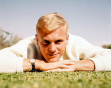 TAB HUNTER LYING ON GRASS 50'S PRINTS AND POSTERS 246467
