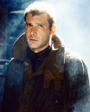 HARRISON FORD PRINTS AND POSTERS 246434