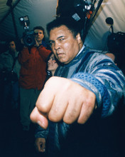 MUHAMMAD ALI PRINTS AND POSTERS 246346