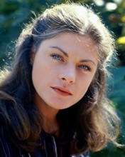 MEG FOSTER PRINTS AND POSTERS 246026