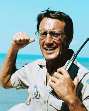 JAWS ROY SCHEIDER PRINTS AND POSTERS 245688
