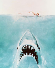 JAWS PRINTS AND POSTERS 245577