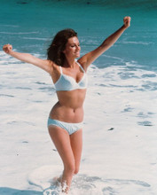 JACQUELINE BISSET PRINTS AND POSTERS 245446