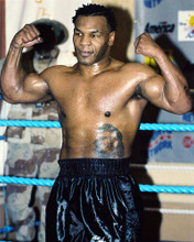 MIKE TYSON RARE PRINTS AND POSTERS 245334