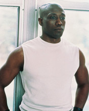 WESLEY SNIPES HUNKY PRINTS AND POSTERS 245312