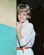 HAYLEY MILLS PRINTS AND POSTERS 245252