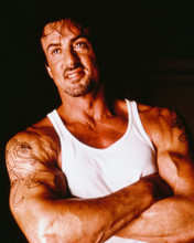 SYLVESTER STALLONE PRINTS AND POSTERS 245001