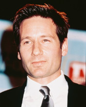 DAVID DUCHOVNY PRINTS AND POSTERS 244813
