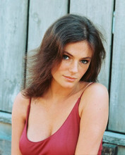JACQUELINE BISSET PRINTS AND POSTERS 244747