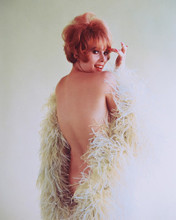 JILL ST. JOHN GLAMOUR POSE PRINTS AND POSTERS 244613