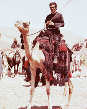 LAWRENCE OF ARABIA OMAR SHARIF PRINTS AND POSTERS 244597