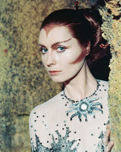 CATHERINE SCHELL PRINTS AND POSTERS 244590