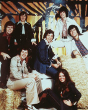THE OSMONDS PRINTS AND POSTERS 244551