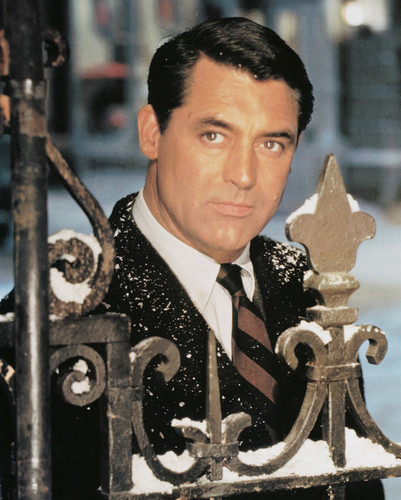 Cary Grant Posters and Photos 244442 | Movie Store