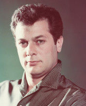 TONY CURTIS PRINTS AND POSTERS 244390