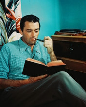 GREGORY PECK PRINTS AND POSTERS 243757