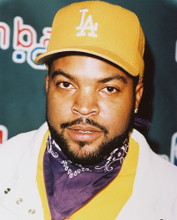 ICE CUBE PRINTS AND POSTERS 243685