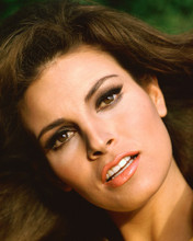 RAQUEL WELCH PRINTS AND POSTERS 243503