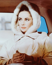 ELIZABETH TAYLOR PRINTS AND POSTERS 243493