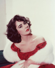 ELIZABETH TAYLOR STUNNING STUDIO POSE PRINTS AND POSTERS 243492