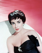 ELIZABETH TAYLOR PRINTS AND POSTERS 243491