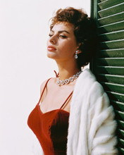 SOPHIA LOREN STUNNING IN PROFILE RED DRESS RARE PRINTS AND POSTERS 243411