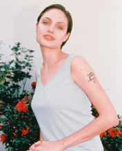 ANGELINA JOLIE PRINTS AND POSTERS 243383