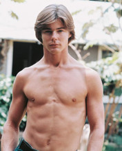 BIG WEDNESDAY JAN-MICHAEL VINCENT HUNKY PRINTS AND POSTERS 243159