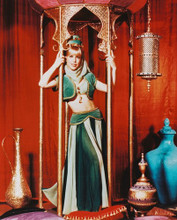 BARBARA EDEN PRINTS AND POSTERS 242938