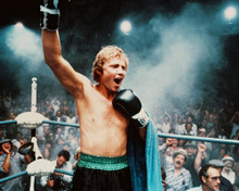 JON VOIGHT THE CHAMP PRINTS AND POSTERS 242320