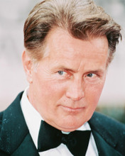 MARTIN SHEEN PRINTS AND POSTERS 242284