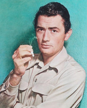 GREGORY PECK PRINTS AND POSTERS 242246