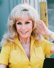 BARBARA EDEN PRINTS AND POSTERS 242106