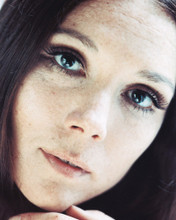 DIANA RIGG PRINTS AND POSTERS 241840