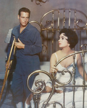ELIZABETH TAYLOR & PAUL NEWMAN PRINTS AND POSTERS 241452