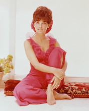 SUZANNE PLESHETTE PRINTS AND POSTERS 241383