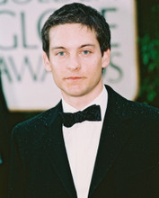 TOBEY MAGUIRE PRINTS AND POSTERS 241339