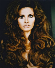 RAQUEL WELCH PRINTS AND POSTERS 24120