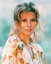 RAQUEL WELCH PRINTS AND POSTERS 241054