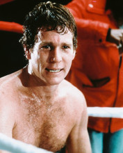 RYAN O'NEAL THE MAIN EVENT HUNKY PRINTS AND POSTERS 240969