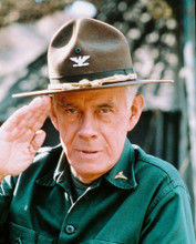 M*A*S*H HARRY MORGAN PRINTS AND POSTERS 240962