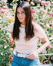 ALI MACGRAW PRINTS AND POSTERS 240937