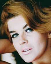 ANN-MARGRET PRINTS AND POSTERS 240749