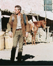 PAUL NEWMAN BUTCH CASSIDY AND THE SUNDANCE KID PRINTS AND POSTERS 240556