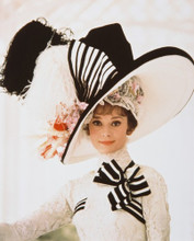 AUDREY HEPBURN MY FAIR LADY GLAMOUR PRINTS AND POSTERS 240477